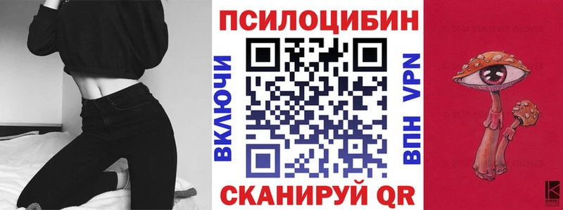 хочу   Муравленко  Псилоцибиновые грибы GOLDEN TEACHER 